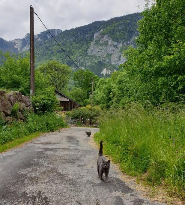 Le Du Biot Apartamento Le Biot
