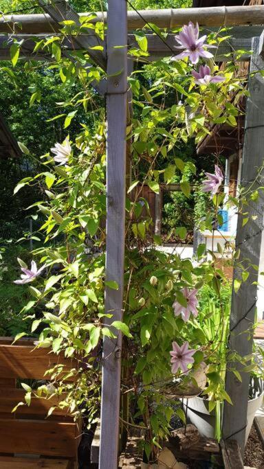 Apartamento Le Du Biot